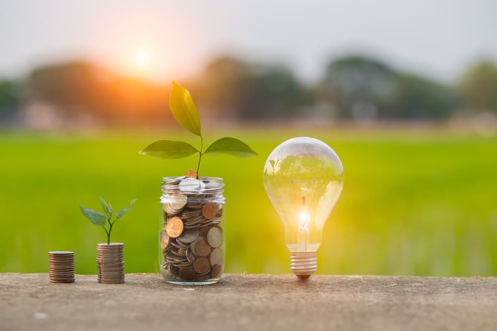 Energy Savings Rebate Program & Canada Greener Homes Grant