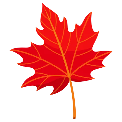 Doors and Windows made in Canada
