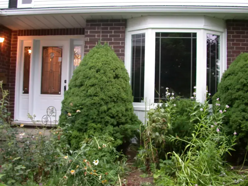 Our Doors And Windows Services In Oshawa