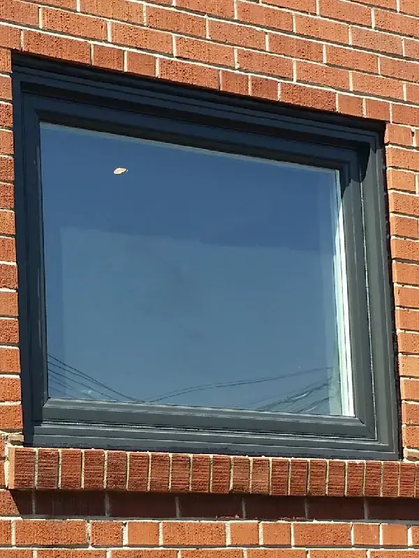 Windows Replacement Newmarket